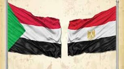 مصر تستضيف الخميس مؤتمر قمة دول جوار السودان.. فيديو