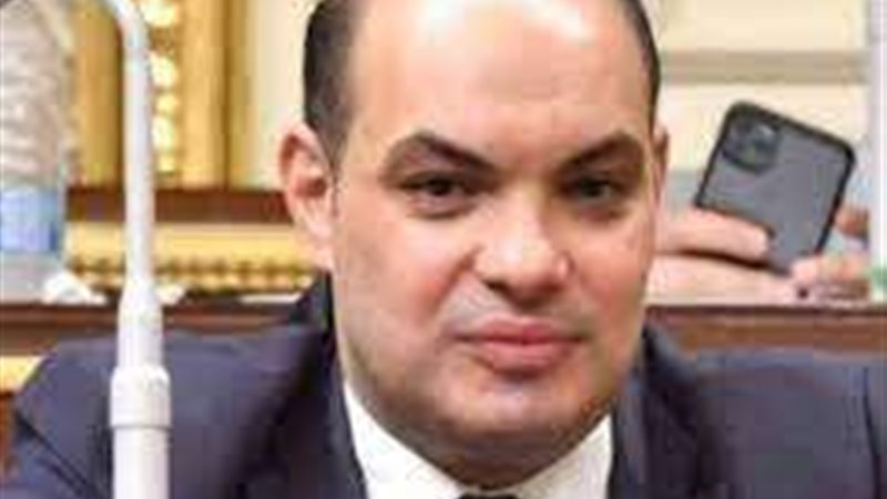 النائب علاء حمدي