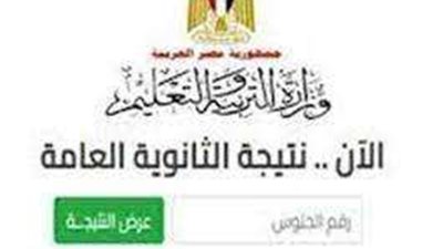 نتيجة الثانوية العامة تظهر فور اعتمادها.. تفاصيل