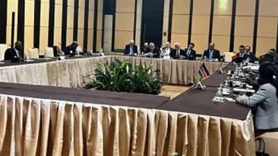 عاجل| بعد قليل انطلاق فعاليات قمة دول جوار السودان بحضور السيسي