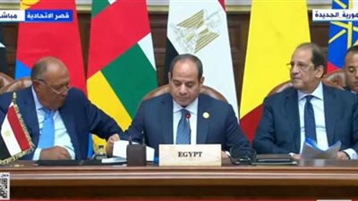 السيسي: الأزمة السودانية لها تداعيات كارثية على الوضع الإنساني