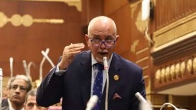 برلماني: مؤتمر قمة دول جوار السودان سيكون له نتائج إيجابية