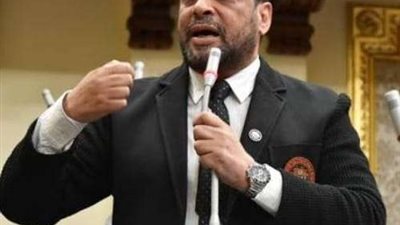 محمود الشامي: دعوة مصر لعقد قمة دول جوار السودان يستهدف الحفاظ على الدولة