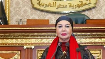 النائبة أمل سلامة: قمة دول جوار السودان خطوة متميزة لإنهاء الصراع