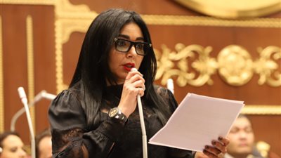 النائبة ريهام عفيفي : السودان حلقة مهمة بالأمن القومي المصري