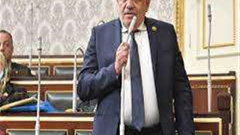 النائب سيد حنفى طه