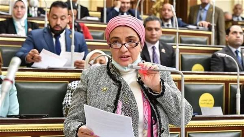 النائبة سميرة الجزار؛