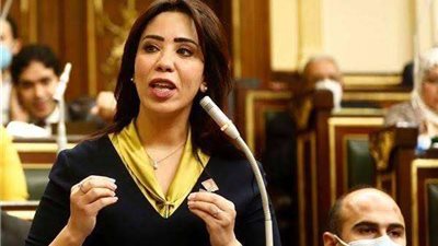 غادة علي : سيتم إنشاء جهاز مصري لحماية حقوق الملكية الفكرية