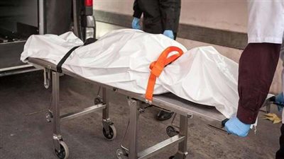 أمن الدقهلية يكشف  هوية سيدة لقيت مصرعها تحت عجلات قطار