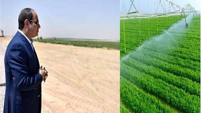 ماذا جنت الدولة من ثمار 9 سنوات من تنفيذ مشاريع قومية بالزراعة؟