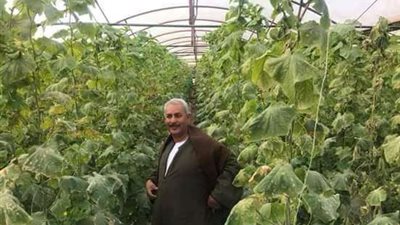 نقيب الفلاحين يكشف تفاصيل تأثير ظاهرة النينو على القطاع الزراعي