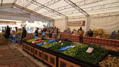 محافظ مطروح يفتتح معرض 