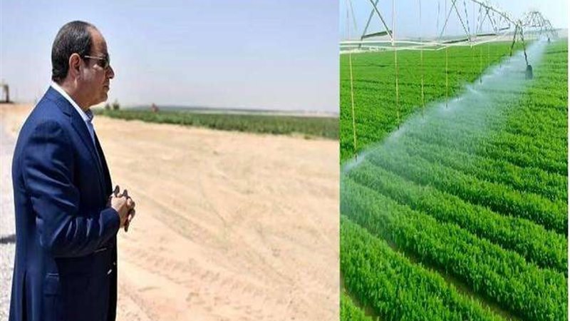 مشروعات قومية
