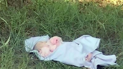 العثور على رضيعة بين الزراعات في الإسماعيلية