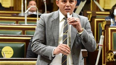 النائب عمرو القطامى: مؤتمر الاستثمار البيئى يدعم توجه الدولة نحو الاقتصاد الأخضر