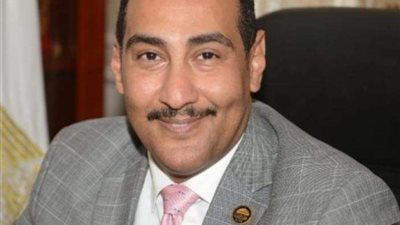 عضو النواب: التحالف الوطني للعمل الأهلي يحقق أهداف التنمية المستدامة