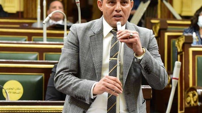 النائب عمرو القطامي