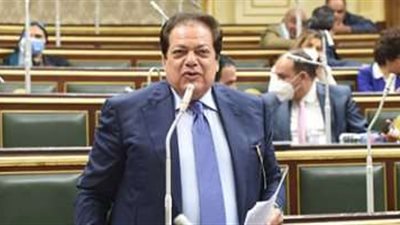 وكيل مجلس النواب:  هناك أزمة في الكهرباء وافتقاد وسائل المعيشة في سوريا