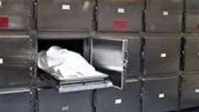 بسبب وجبه كشري فاسدة.. مصرع سيدة وإصابة زوجها وابنها في القليوبية