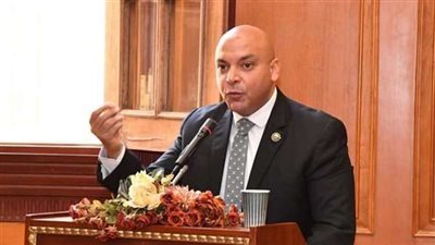 برلماني يكشف موعد التسجيل لحضور المؤتمر العالمي للسكان.. فيديو