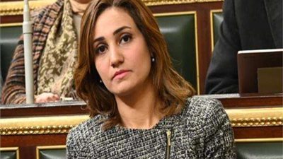 نائبة: حوافز التخلص الآمن من المخلفات بتعديلات قانون الاستثمار تحافظ على البيئة