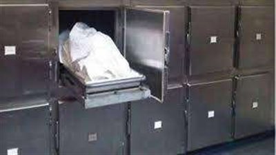 ضرب أفضى إلى الموت.. ضبط المتهم بقتل زوجته في الخانكة