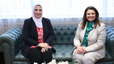 حماية المصريين بالخارج.. آخر تصريحات وزارتي التضامن والهجرة