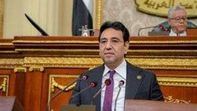 أيمن محسب: قرار العفو عن بعض المحكوم عليهم يعكس حرص الرئيس السيسي على تنفيذ مخرجات الحوار الوطني