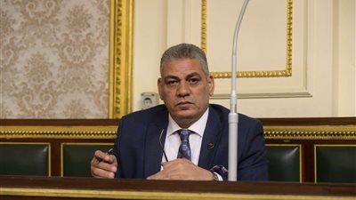 برلماني يدعو لعقد جلسة طارئة للجنة الطاقة لمتابعة مشكلات الكهرباء