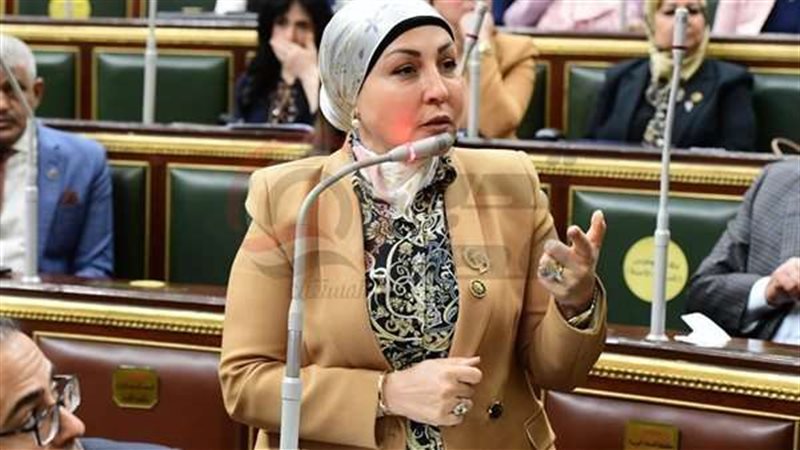 البرلمانية هالة أبو
