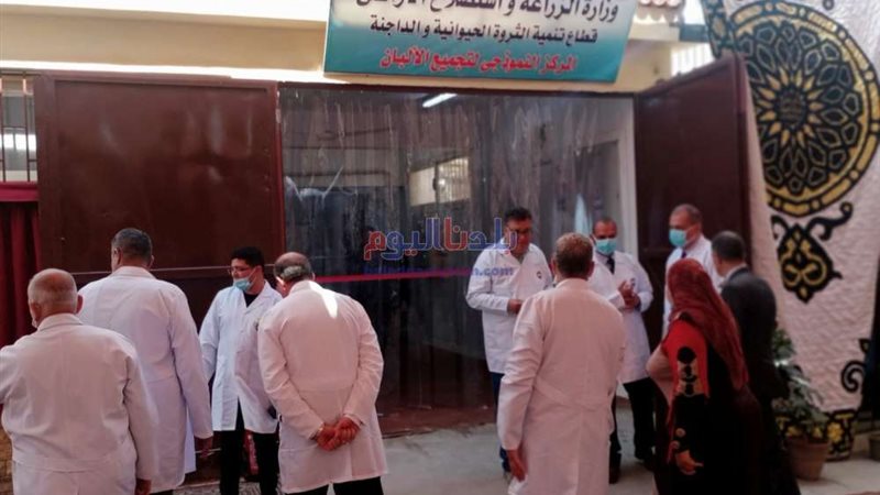 بلدنا اليوم