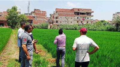 زراعة البحيرة: ختام فعاليات دورة ترشيد استخدام الموارد المائية