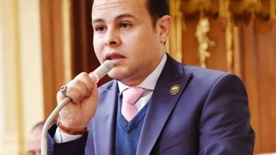 مدحت الكمار: قرارات العفو الرئاسي رسالة نجاح لمخرجات الحوار الوطني