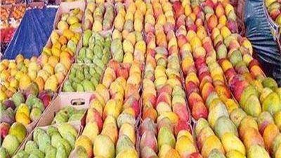 إعلان تفاصيل مهرجان الإسماعيلية للمانجو في دورته الثانية