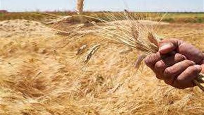 شاهد.. إنجازات التحالف الوطني الاقتصادية