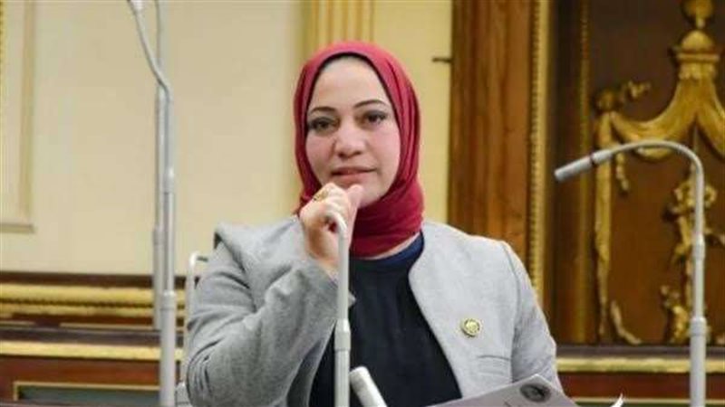 النائبة صفاء جابر