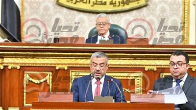 النائب عماد سعد: إنجازات ثورة 23 يوليو آثارها ممتدة حتى الآن