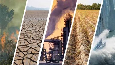 جفاف وحرائق في الغابات.. أبرز 7 تاثيرات للموجة الحارة في أوروبا وأمريكا؟