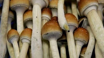 بنفس فعالية الأدوية.. علماء يكتشفون علاج سحري للاكتئاب