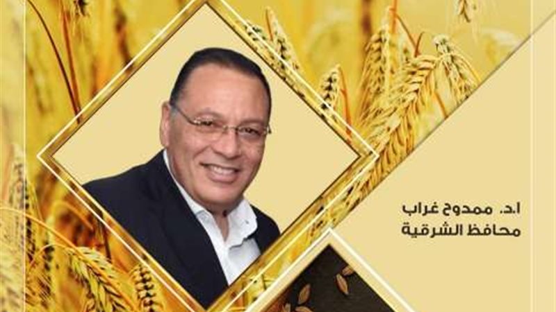 محافظ الشرقية