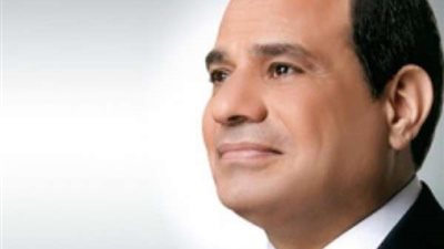 الرئيس السيسي يوجه بالتعاون المكثف مع شركة 