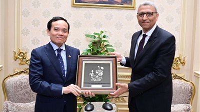 وكيل مجلس النواب يلتقي نائب رئيس وزراء فيتنام والوفد المرافق له