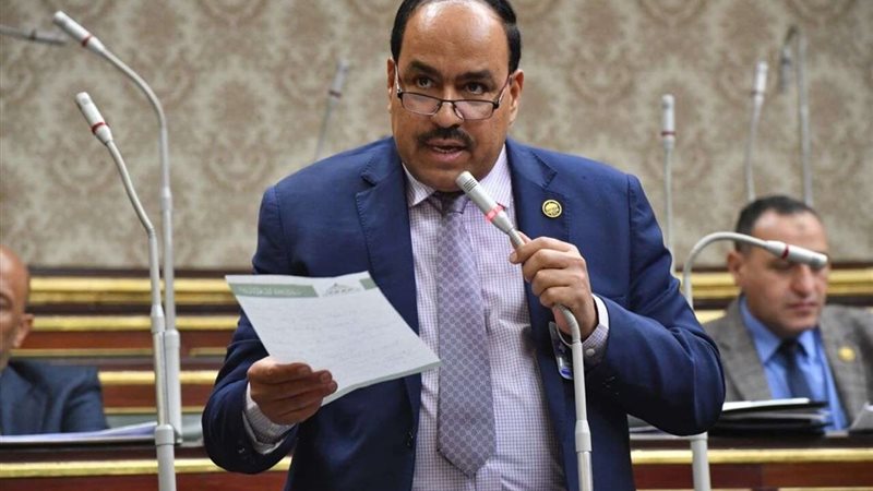 النائب أحمد عبد السلام