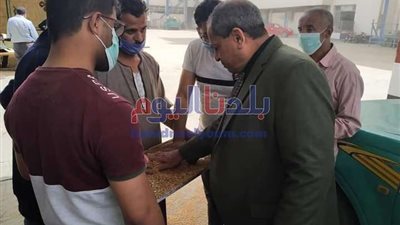 وكيل تموين المنيا: توريد 2419 طن و731 كيلو من القمح