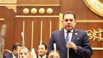 النائب فرج فتحي: الدول الفقيرة لازالت تدفع ضريبة الحرب الروسية الأوكرانية