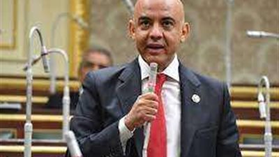 برلماني :  القمة المصرية الروسية ستعظم دور مصر الريادي افريقيًا