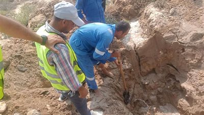 استخراج جذور أشجار من شبكات المياه بمدينة المستقبل بالإسماعيلية