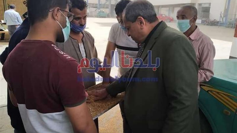 بلدنا اليوم