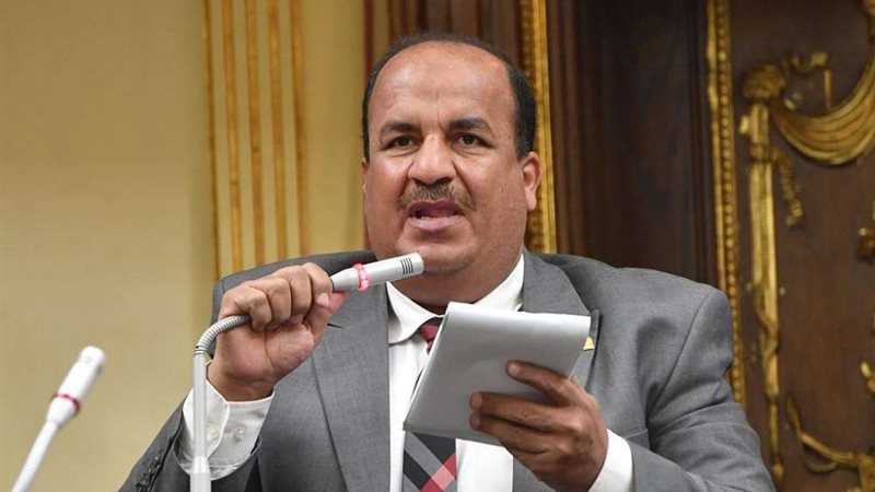 الدكتور محمد عبد