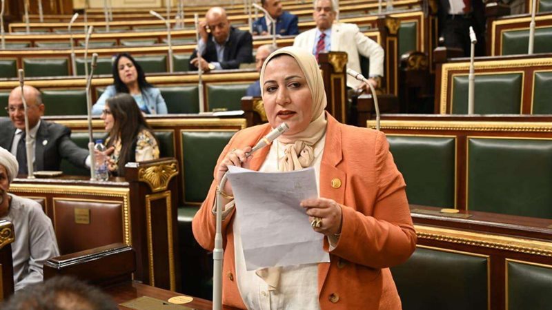 النائبة غادة الضبع